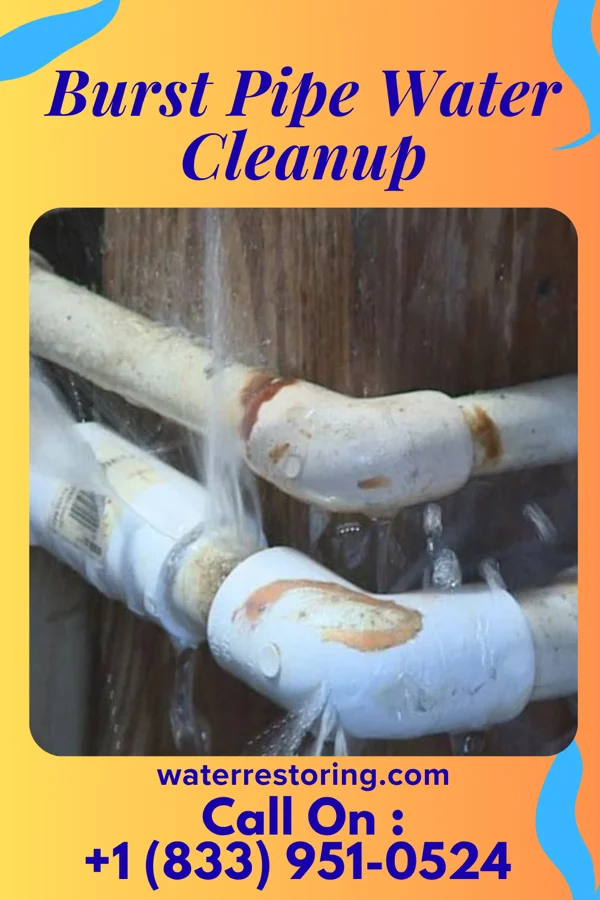 Burst Pipe Water Cleanup in Saybrook-on-the-Lake, OH