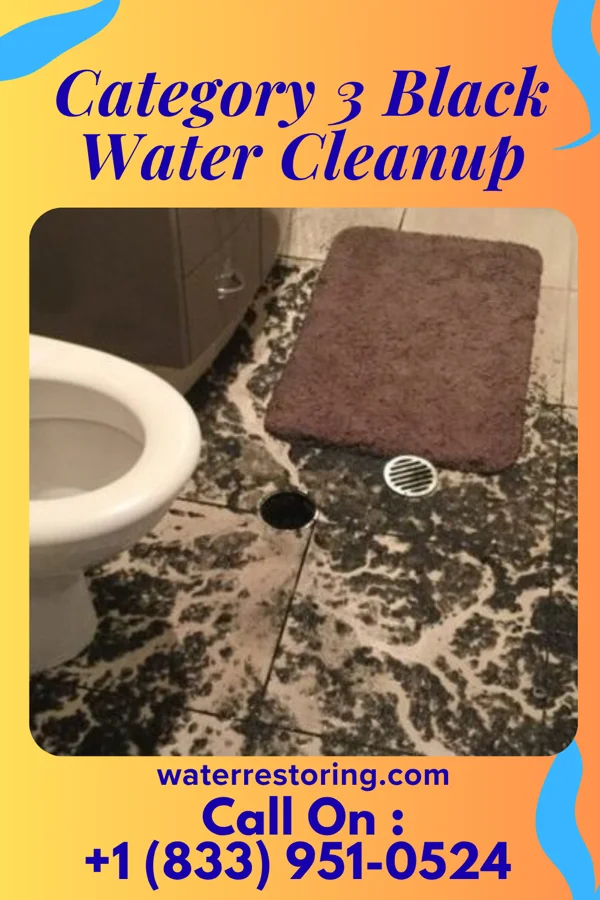 Category 3 Black Water Cleanup in Saybrook-on-the-Lake, OH
