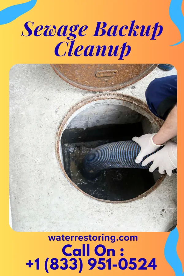 Sewage Backup Cleanup in Saybrook-on-the-Lake, OH