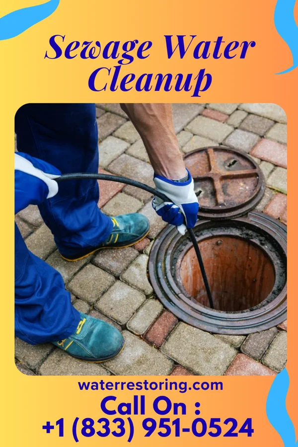 Sewage Water Cleanup in Saybrook-on-the-Lake, OH